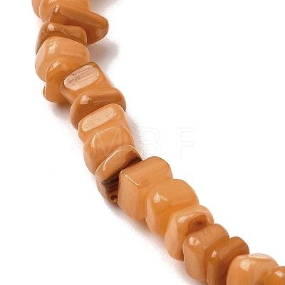 Natural Freshwater Shell Beads SHEL-B003-01H-1