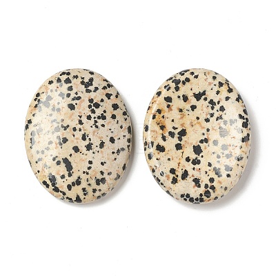 Natural Dalmatian Jasper Worry Stone for Anxiety Therapy G-B036-01J-1