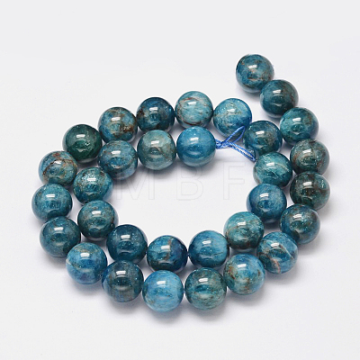 Natural Apatite Beads Strands G-F617-01-12mm-1