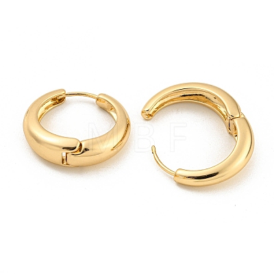 Alloy Hoop Earring EJEW-P269-16KCG-1