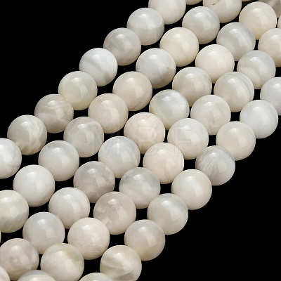 Natural White Moonstone Beads Strands G-L664-A01-8mm-1