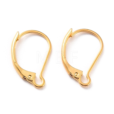 Ion Plating(IP) 304 Stainless Steel Leverback Earring Findings X-STAS-K233-04G-01-1