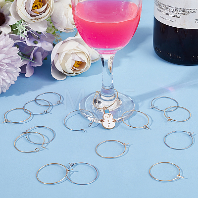 160Pcs 2 Colors 316 Surgical Stainless Steel Wine Glass Charms Rings STAS-BBC0003-20-1