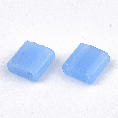 2-Hole Glass Seed Beads SEED-T004-01C-01-1