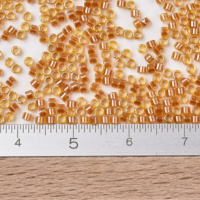 MIYUKI Delica Beads SEED-J020-DB1702-1