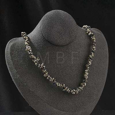 Natural Dalmatian Jasper Chip Beaded Necklaces for Men Women NJEW-G159-01O-1