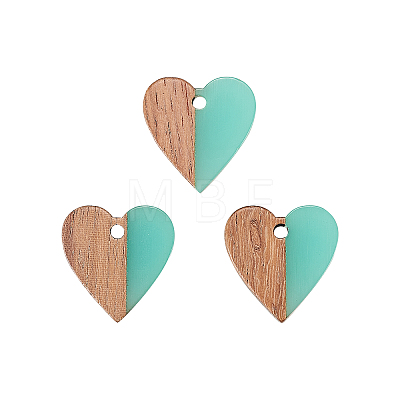 Resin & Wood Pendants LS-RESI-CJC0001-19C-1