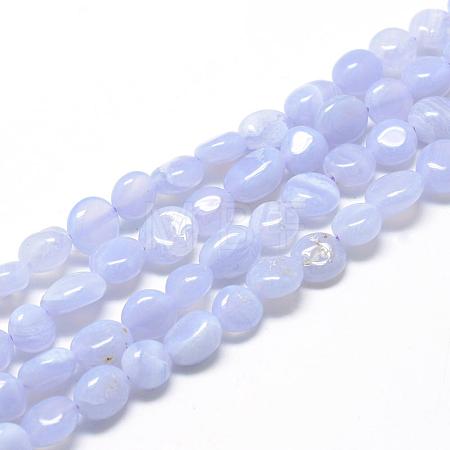 Natural Blue Lace Agate Beads Strands G-R445-8x10-10-1
