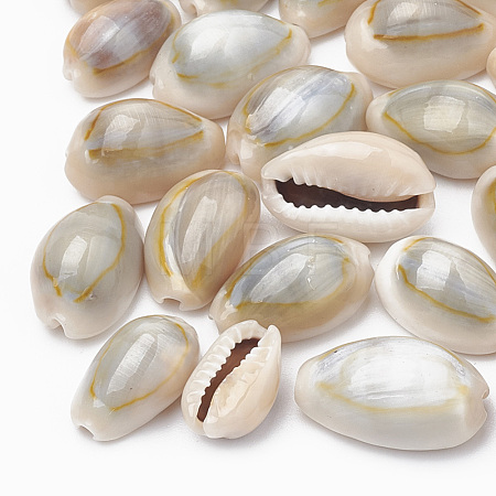 Cowrie Shell Beads SSHEL-T004-05-1