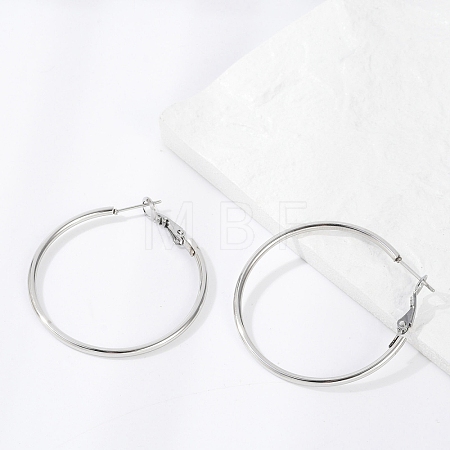 Tarnish Resistant 201 Stainless Steel Hoop Earrings LS-EJEW-F188-24P-B-1