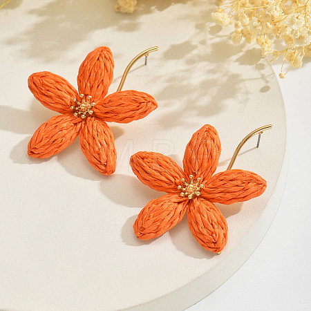 Bohemian Iron & Raffia Stud Earrings WGAF04A-03-1