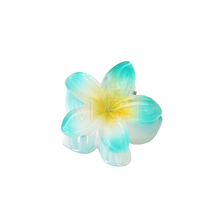 Plastic Claw Hair Clips LS-PW-WG07B2B-12-1