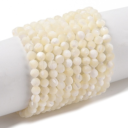 Natural Trochus Shell Beads Strands SHEL-P017-05-1