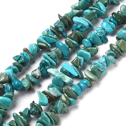 Natural Turquoise Chip Beads Strands X-G-D093-A01-1