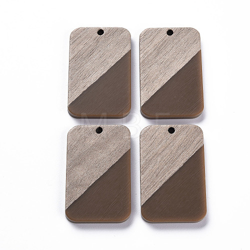 Opaque Resin & Walnut Wood Pendants RESI-T035-38G-1