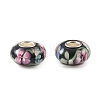 Lampwork & Brass Core European Beads LAMP-P019-01P-09-1