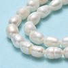 Natural Cultured Freshwater Pearl Beads Strands PEAR-J006-10D-02A-4