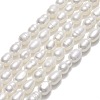 Natural Cultured Freshwater Pearl Beads Strands PEAR-J006-10E-01-1
