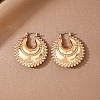 Alloy Hoop Earrings FS-WGDE27E-01-1