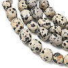 Natural Dalmatian Jasper Beads Strands G-C286-A09-3