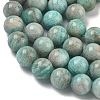 Natural Amazonite Beads Strands G-K068-03-10mm-01-5