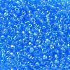 TOHO 6/0 Round Beads X-SEED-TR06-0163B-3