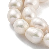 Natural Cultured Freshwater Pearl Beads Strands PEAR-P062-13E-4