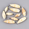 Brass & Natural Mitra Shell Big Pendants SHEL-Q029-17P-1