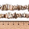 Natural Freshwater Shell Beads Strands SHEL-A006-05-4