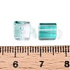 Baking Paint Transparent Glass Beads DGLA-N005-01A-04-4