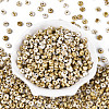 Picasso Glass Seed Beads SEED-N010-01A-2