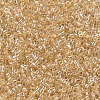 MIYUKI Delica Beads X-SEED-J020-DB0099-3