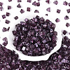 Picasso Transparent Glass Beads SEED-Q039-02I-2