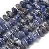 Natural Tanzanite Beads Strands G-L649-C07-01-2