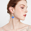 DIY Dangle Earring Making Kits RESI-OC0001-12-6