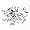 304 Stainless Steel Charms STAS-L234-073P-1