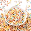 6/0 Glass Seed Beads X1-SEED-L011-08A-06-2