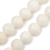 Natural White Shell Beads Strands BSHE-U001-01C-1