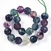 Natural Rainbow Fluorite Beads Strands G-S345-10mm-29-3