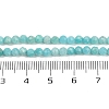 Natural Amazonite Beads Strands LS-G-P572-B04-A-5