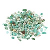 Natural Amazonite Chip Beads G-FS0001-16-2