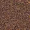 TOHO 11/0 Round Beads X-SEED-TR11-0514-2