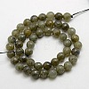 Natural Gemstone Labradorite Faceted Round Bead Strands G-O021-6mm-01-1