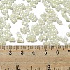 Glass Seed Beads SEED-K009-02B-25-4