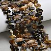 Natural Black African Opal  Beads Strands G-Z124-B01-01-1
