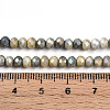 Ombre Effect Dyed Glass Beads Strands LS-GLAA-C023-02-C11-A-4