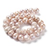 Natural Cultured Freshwater Pearl Beads Strands PEAR-E019-19-2
