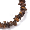 Natural Tiger Eye Chip Beaded Stretch Bracelets for Women Men BJEW-JB10647-01-4