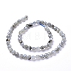 Natural Labradorite Beads Strands G-L538-011-3