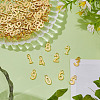 12 Sets Alloy Pendants TIBEP-ME0001-12G-4